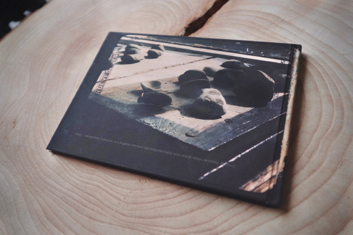 The Sea & The Mirror - Collectors Limited Edition Book