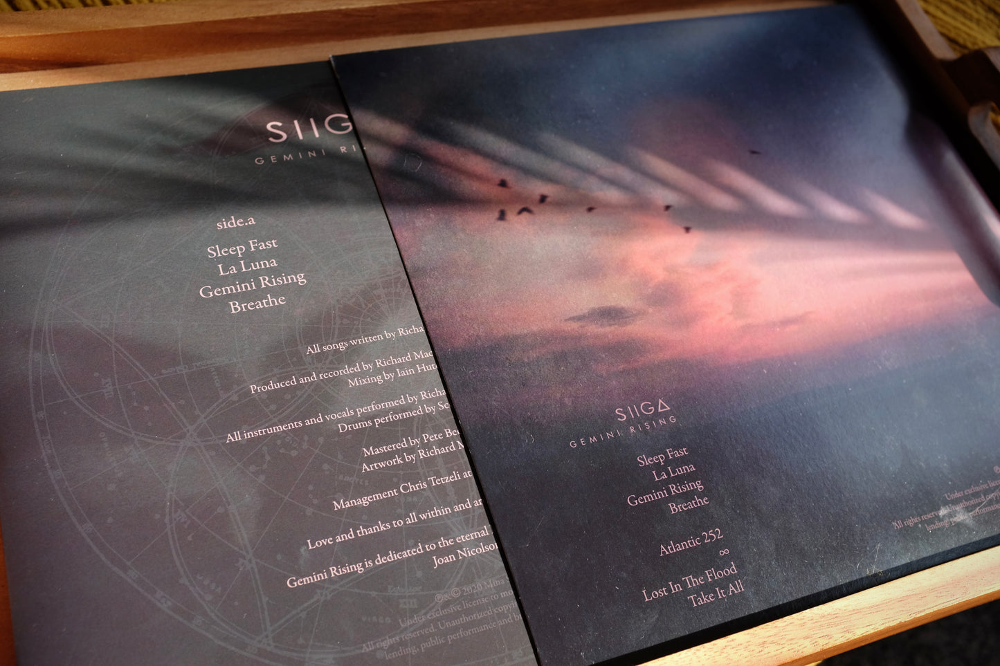 Gemini Rising Vinyl