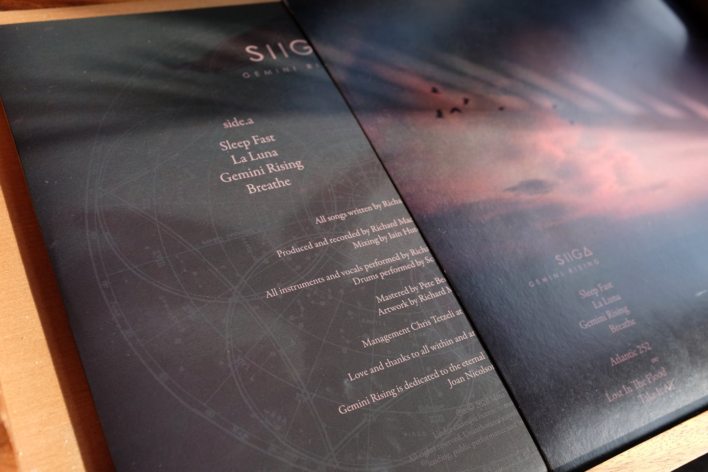 Gemini Rising Vinyl