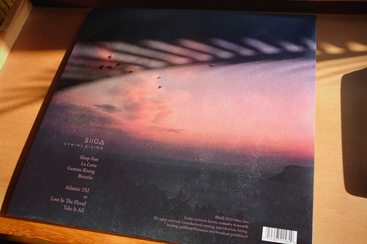 Gemini Rising Vinyl
