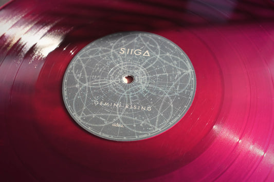Gemini Rising Vinyl