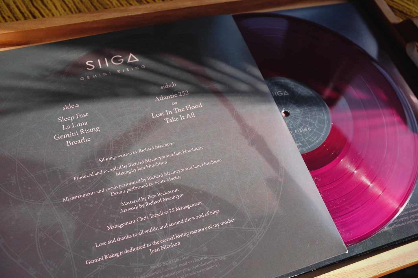 Gemini Rising Vinyl