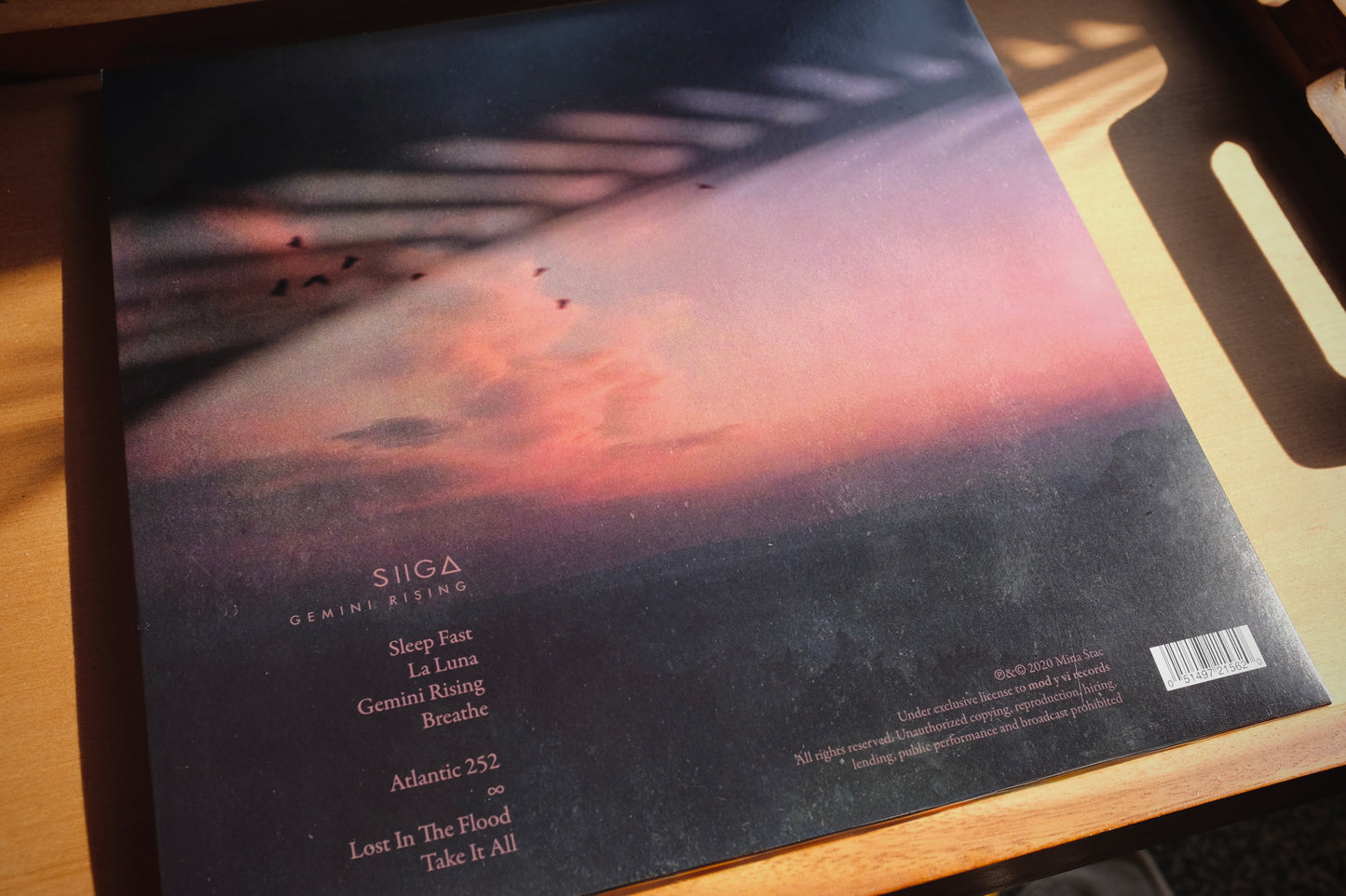 Gemini Rising Vinyl
