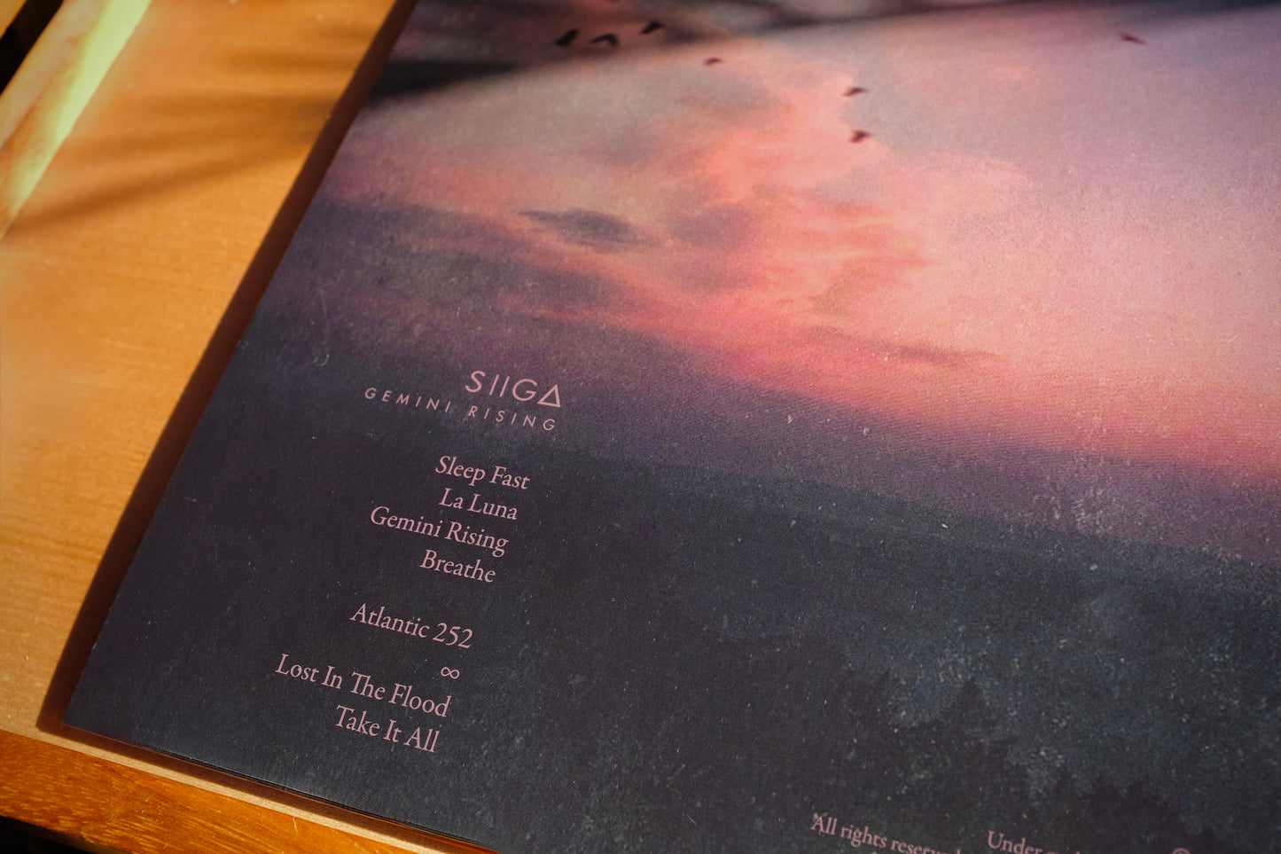Gemini Rising Vinyl